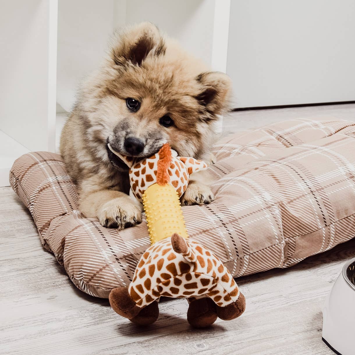 Jouet pour chien ne&no® Girafe - avec couineur et picots