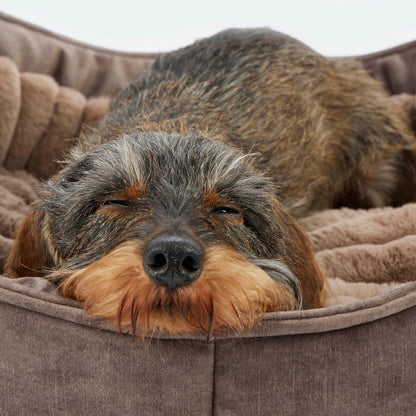 Lit douillet de luxe pour chien - Lit pour teckels et petits chiens