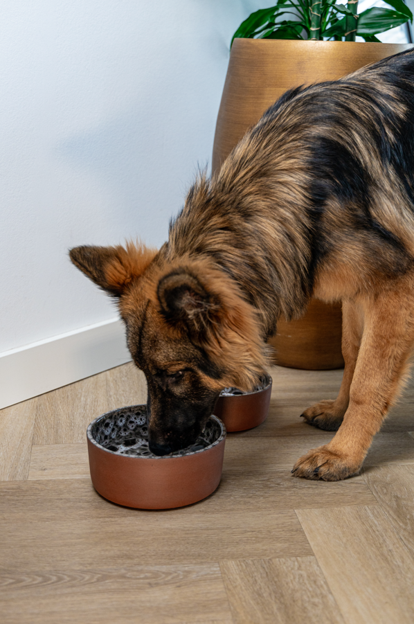 Bol alimentaire en céramique Jag