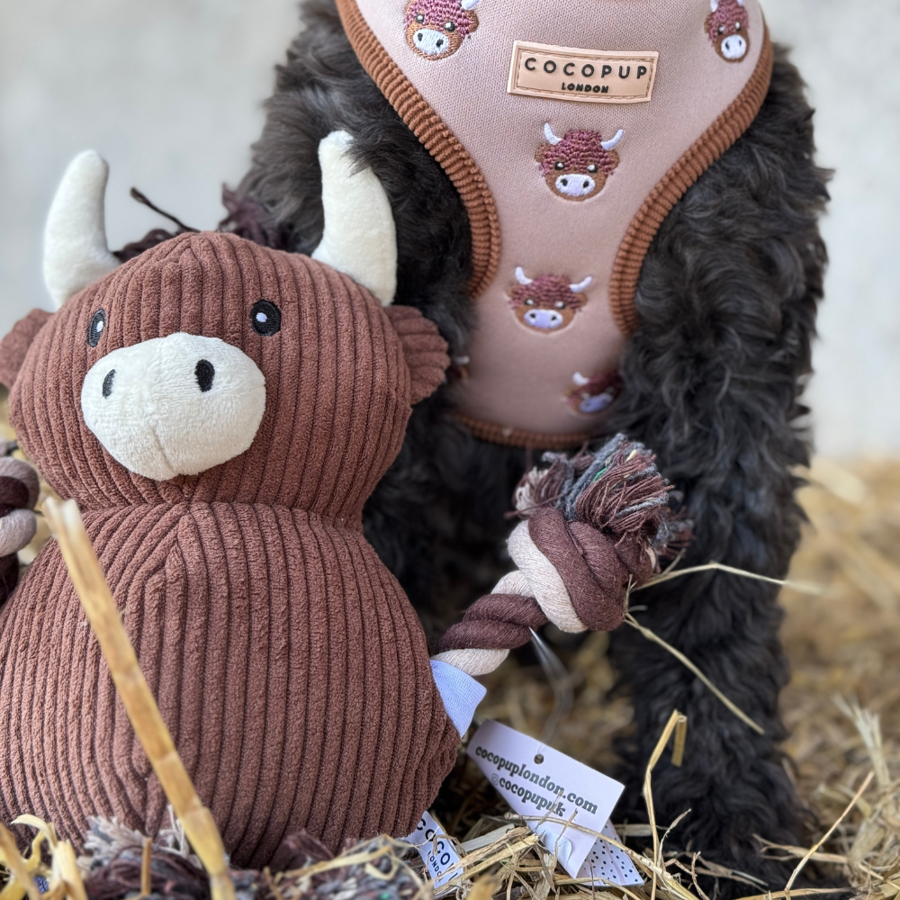 Harold, la vache des Highlands en jouet