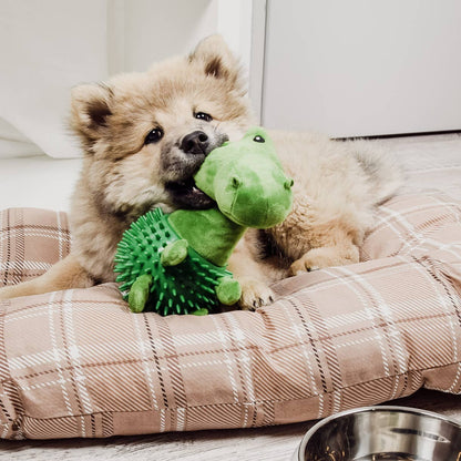Jouet pour chien dinosaure