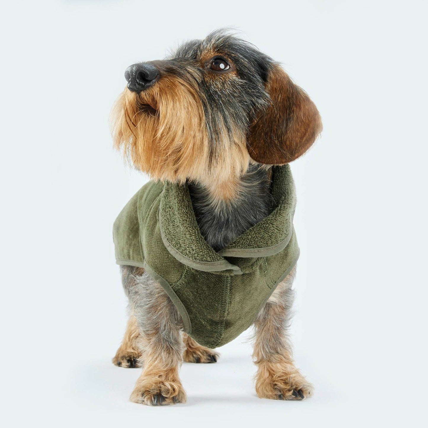 Peignoir pour chien