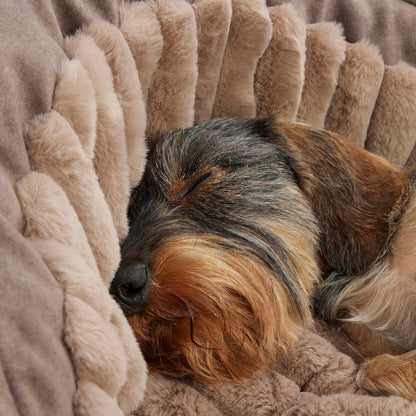 Lit douillet de luxe pour chien - Lit pour teckels et petits chiens