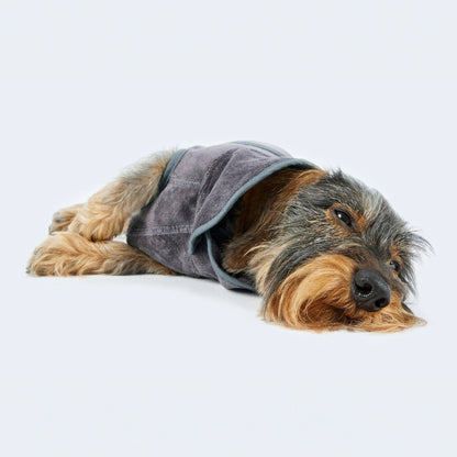 Peignoir pour chien