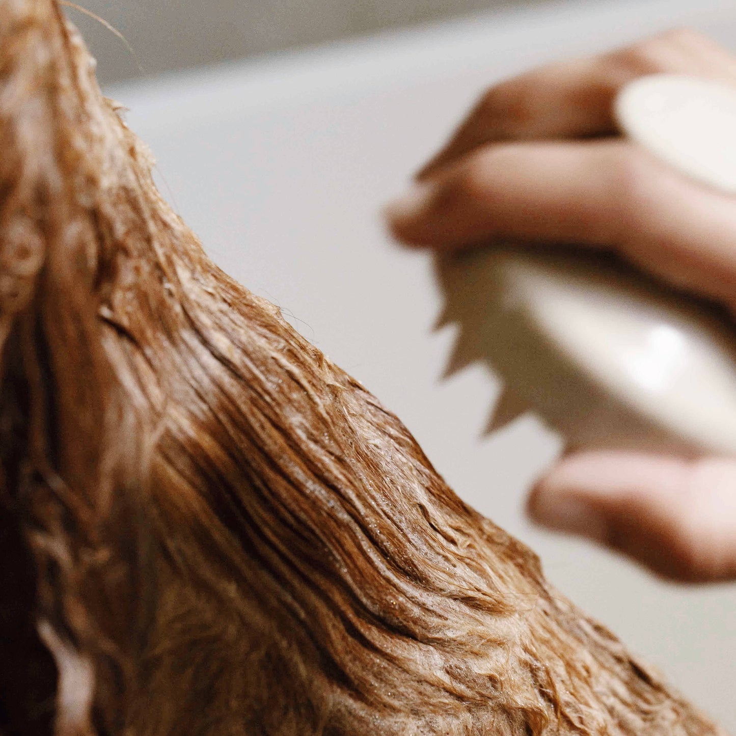 Brosse pour la douche