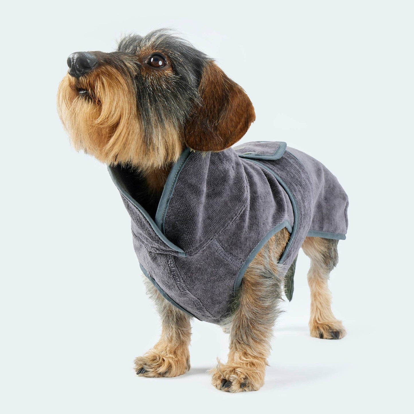 Peignoir pour chien