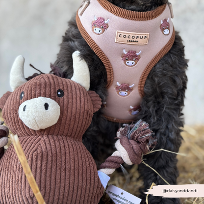 Harold, la vache des Highlands en jouet