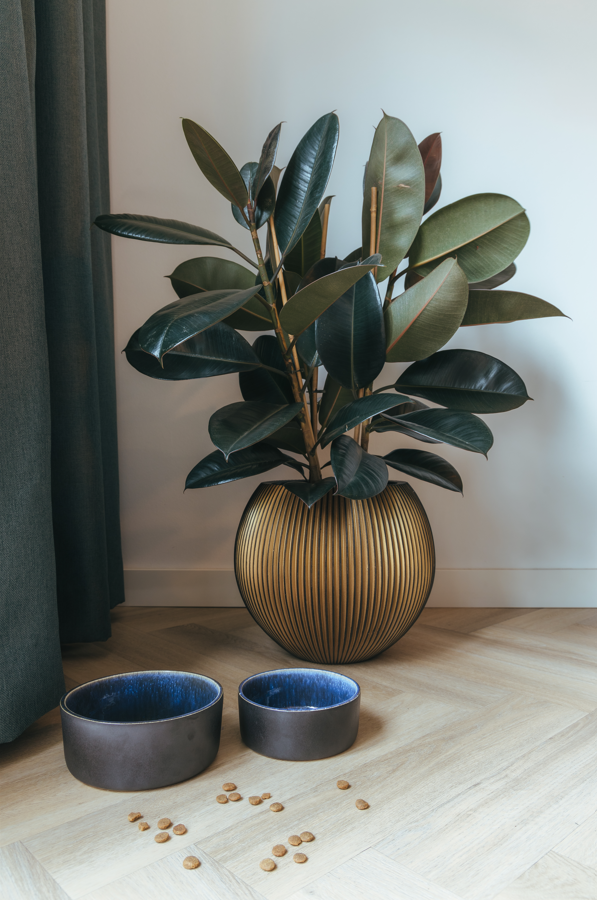 Bol à nourriture en céramique Manta