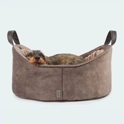 Lit douillet de luxe pour chien - Lit pour teckels et petits chiens