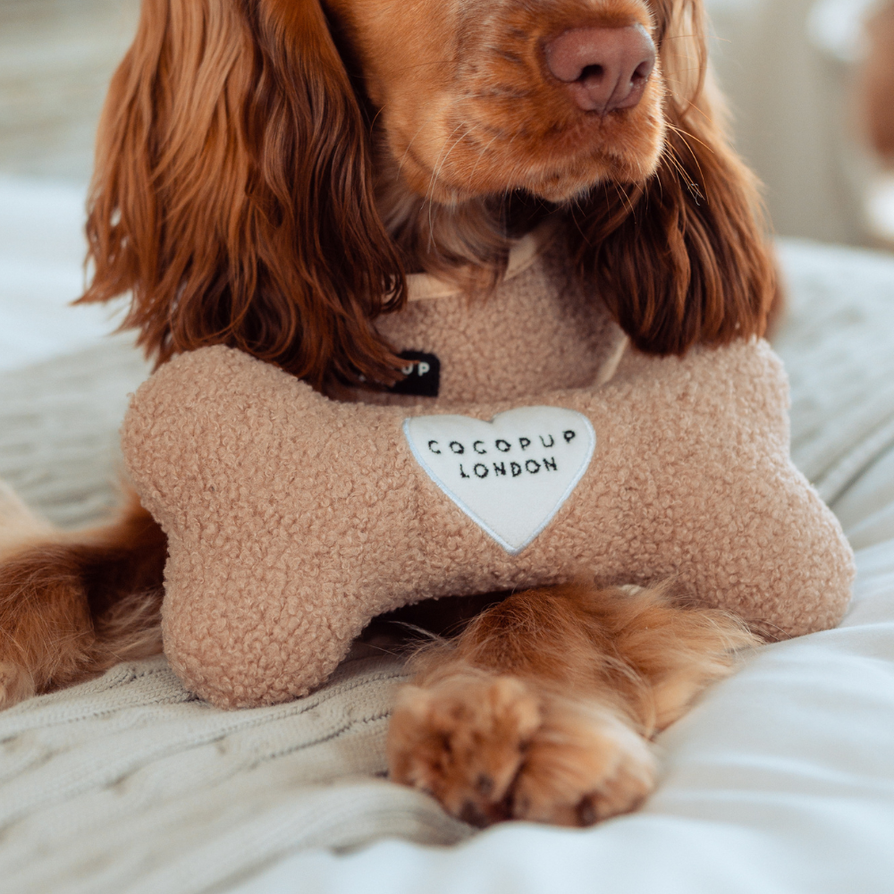 Peluche en os Rupert