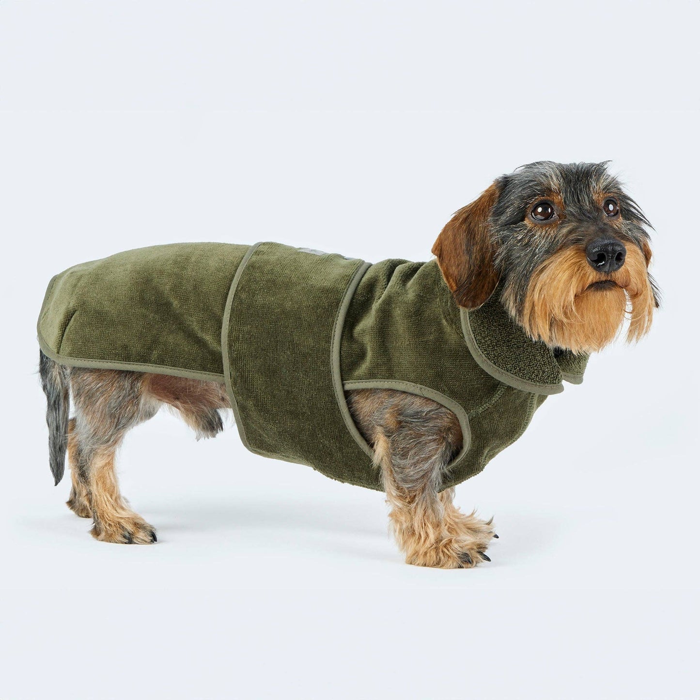 Peignoir pour chien