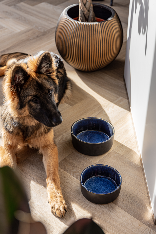 Bol à nourriture en céramique Manta