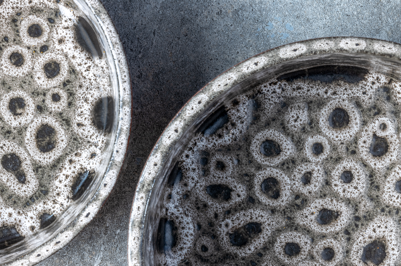 Bol alimentaire en céramique Jag