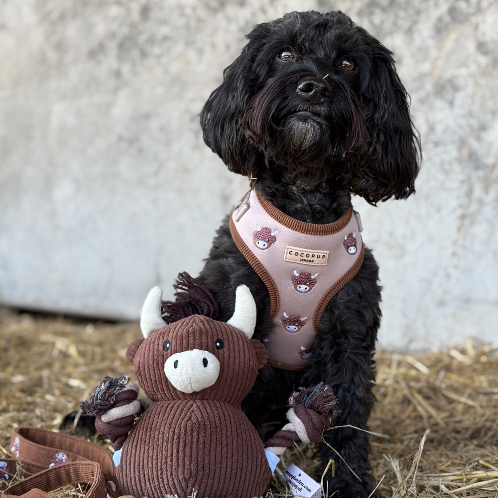 Harold, la vache des Highlands en jouet