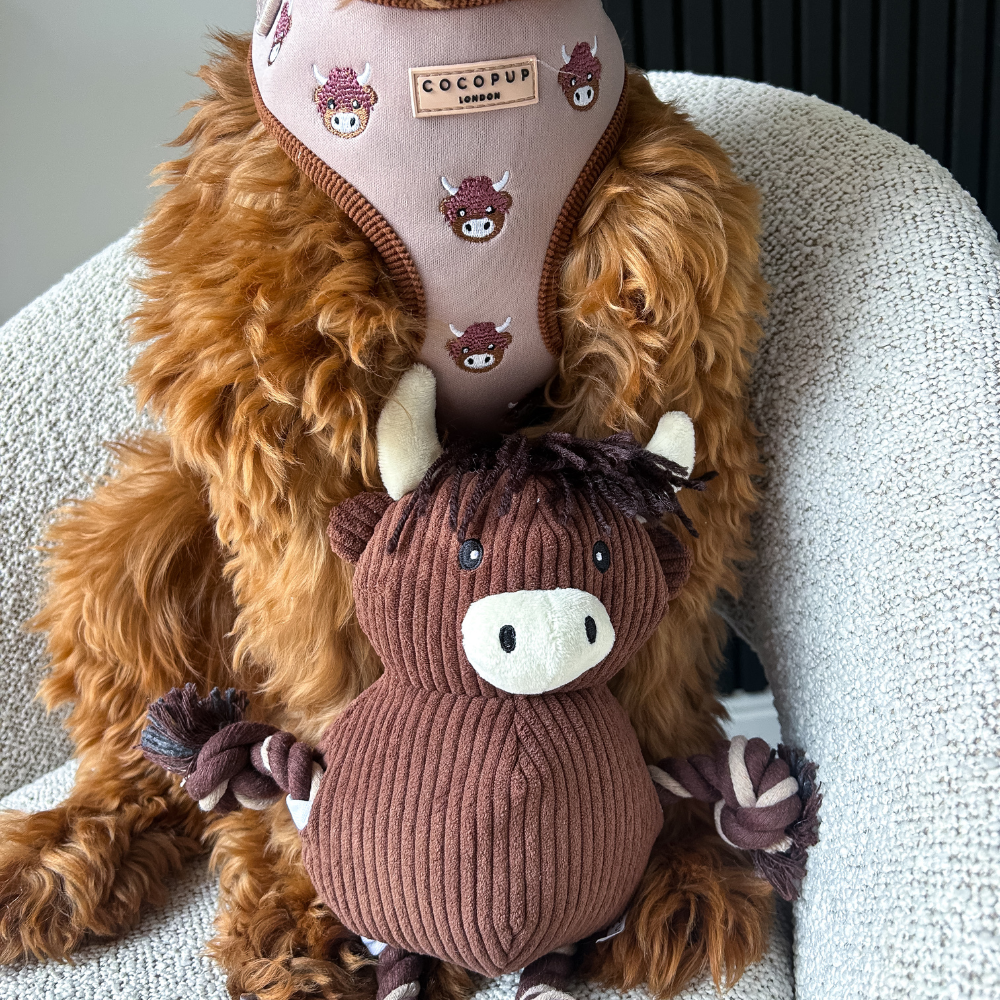 Harold, la vache des Highlands en jouet
