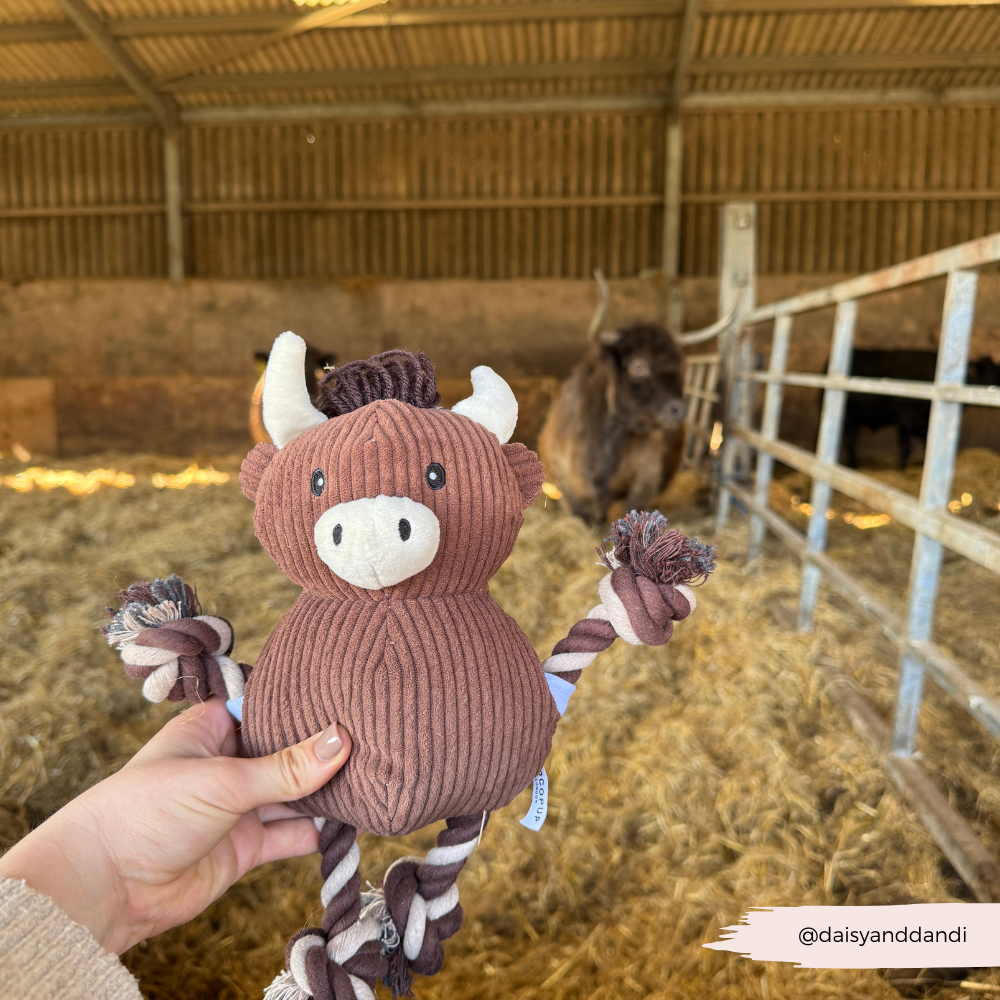 Harold, la vache des Highlands en jouet