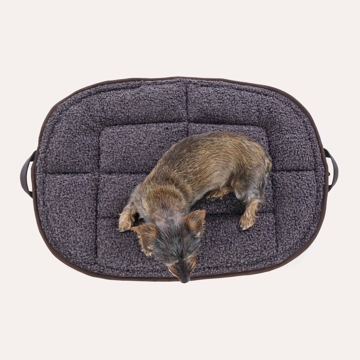 Coussin pour chien CosyCloud Alpin