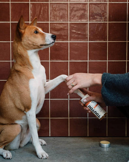 Nettoyant pattes pour chien rechargeable