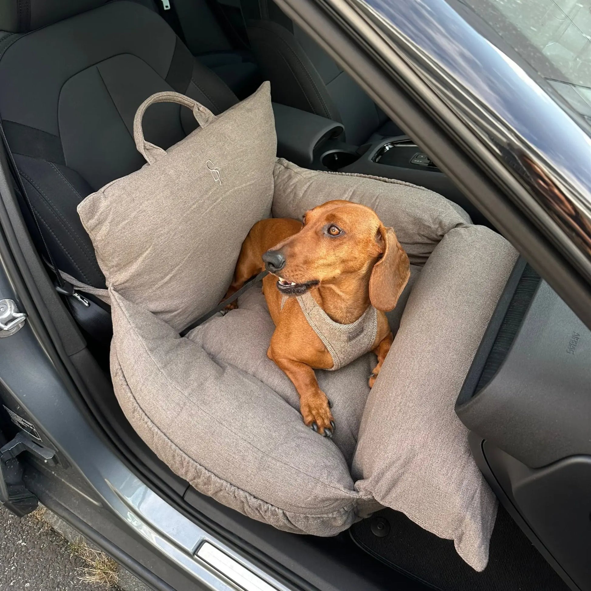 Siège Auto Lara | Taupe 2. 0 Staey