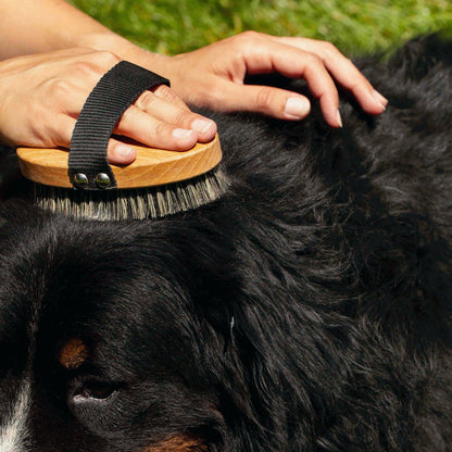 Brosse pour poils courts