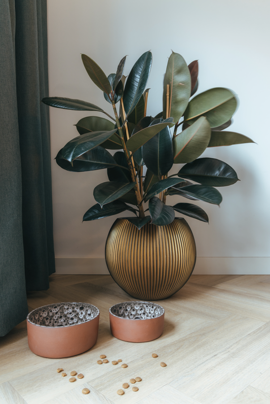 Bol alimentaire en céramique Jag